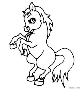 ������